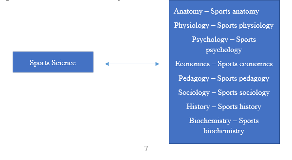The characteristics of branch of sports